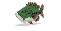 Black Bass Sticker by AGR Baits