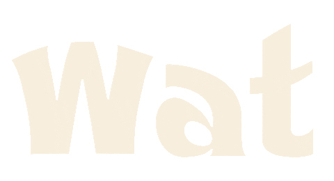 What Confused Sticker