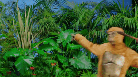 nowness giphygifmaker nowness cassius mike d GIF