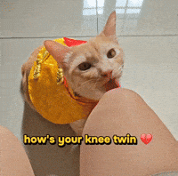 Knee Surgery Cat GIF