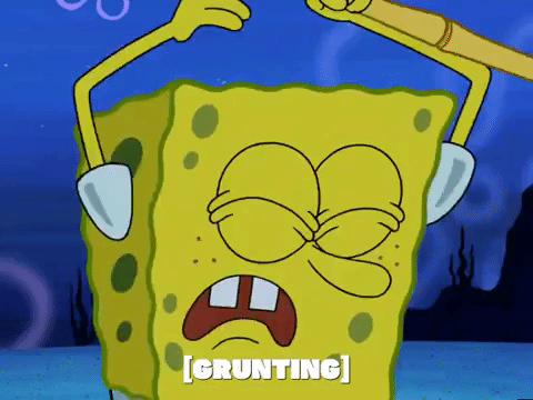 season 5 GIF by SpongeBob SquarePants