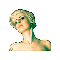 maiadrachen maiadrachen maia drachen Sticker