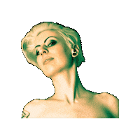 maiadrachen maiadrachen maia drachen Sticker