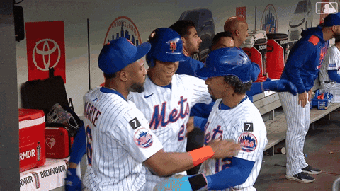 Celebrate Home Run GIF by New York Mets