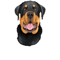 Vaderpp Sticker by Pickle's Pawtraits