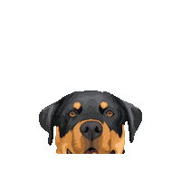 Vaderpp Sticker by Pickle's Pawtraits