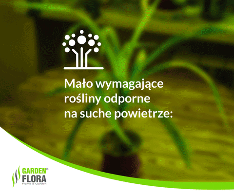 garden ogrÃ³d GIF