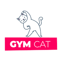 Cat Gym Sticker by Homepage.rs