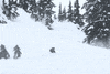 ski powder GIF by TheMacnabs