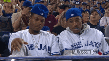 Toronto Raptors Hello GIF by MLB