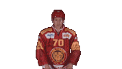 Scltigers Swipe Up Sticker by scl_tigers_official