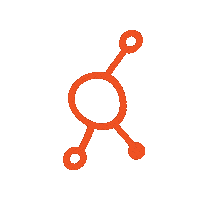 Diokles diokles Sticker