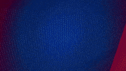 Germany Football GIF by Holstein Kiel