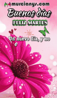 Amigos Dia GIF by Murcianys LLC