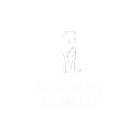 gemelli_gelato illustration star animal world Sticker