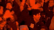 Stubru GIF by Studio Brussel