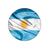 Car Wash Futbol Sticker by Alvato Luxury Detailing