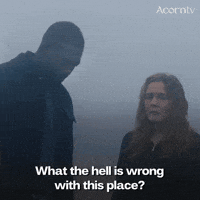 What Is Wrong GIF by Acorn TV