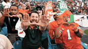 u hands college football GIF by Miami Hurricanes