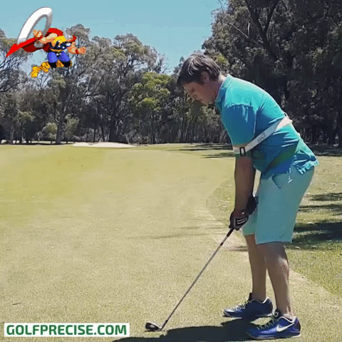 golfing golf shot GIF