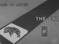 black and white pig GIF by Okkult Motion Pictures