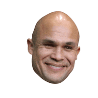 College Football Bears Sticker by Baylor Athletics