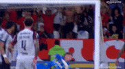 Léo Pereira GIF