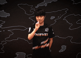 I Dont Think So No Way GIF by 100 Thieves