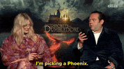 Harry Potter GIF by BuzzFeed
