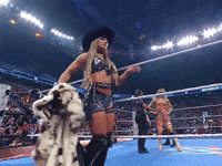 Wwe Wrestling GIF