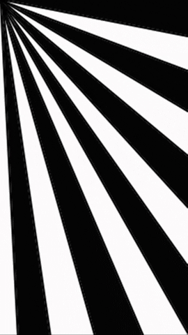 Simongip giphygifmaker GIF