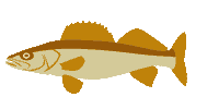 Big Fish Sticker by Minnesota Lottery