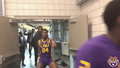 College Sports Sport GIF by LSU Tigers