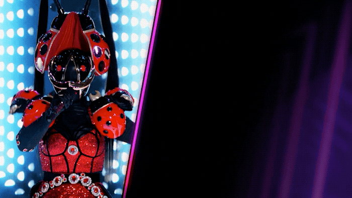 Fox GIF by The Masked Singer