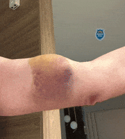 Jensen Horse GIF by Billy Jensen