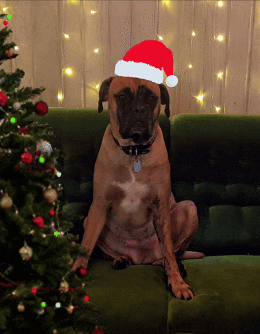Feliz Navidad Christmas GIF
