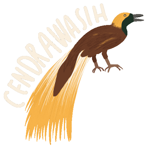 Hutanituindonesia giphyupload indonesia birds jungle Sticker