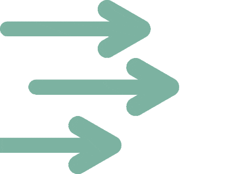 Arrows Flechas Sticker