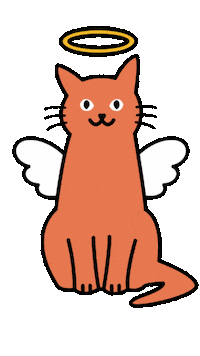 Cat Pet Sticker by respekTiere e.V.