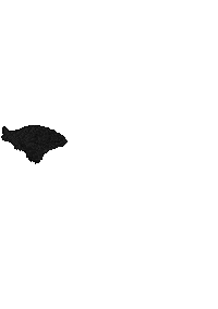 Fish Dream Sticker by Illustrator.aki