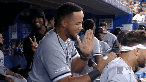 major league baseball sport GIF by MLB
