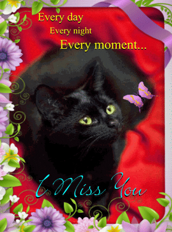 i miss you GIF by youramazing