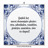 Humor Nl GIF by Tegelspreuken.nl