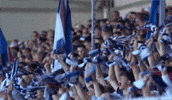 Celebration Bundesliga GIF by Holstein Kiel