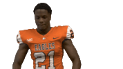 Cnfb Sticker by Carson-Newman Athletics