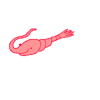 Under Water Ocean Sticker by Cartuna