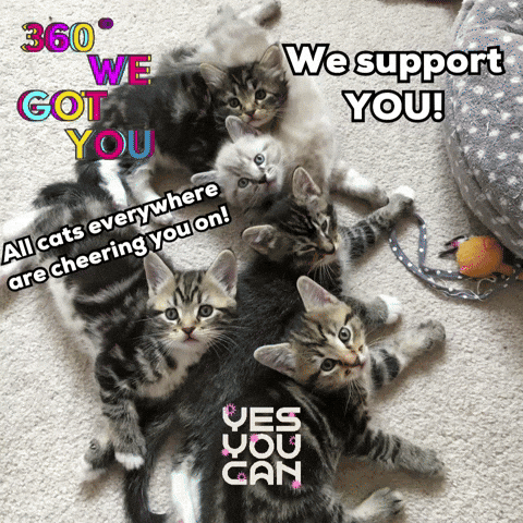 Yes You Can GIF