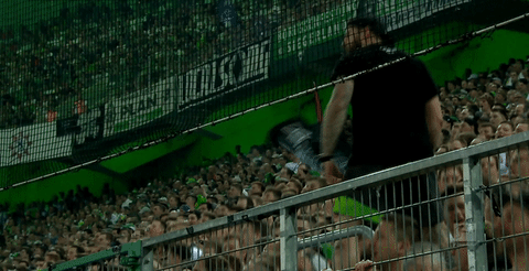 fans bouncing GIF by Borussia Mönchengladbach
