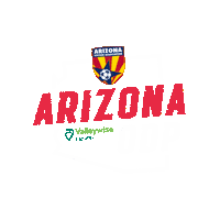 Sticker by arizonasoccerassociation