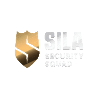 SilaSecurity безопасность самара контроль силасекьюрити Sticker